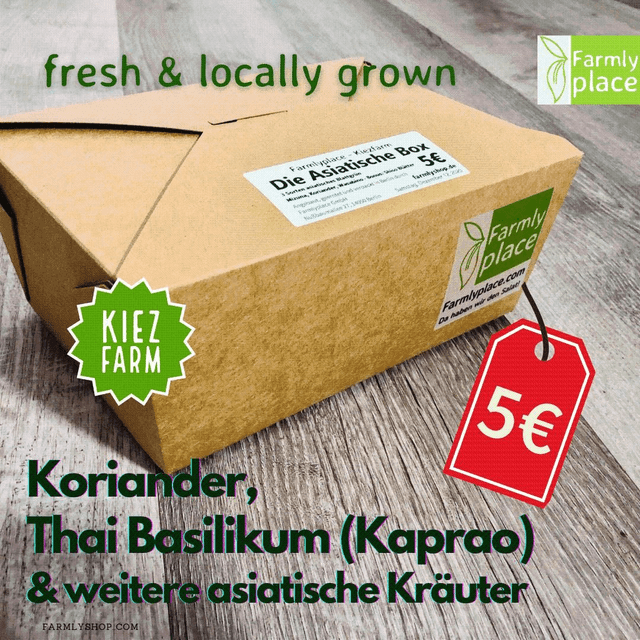 Die Asiatische Box
